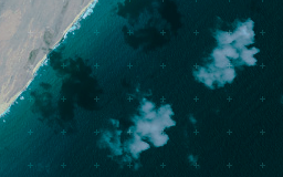 General security Surveillance